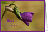 Thank you card