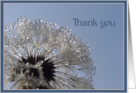 Thank you card