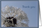 Thank you card