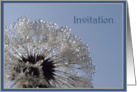 Invitation card