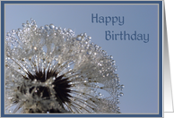 Happy birthday card