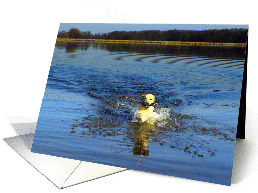 Water fun card (170386)