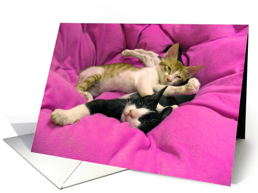 Relax card (172671)