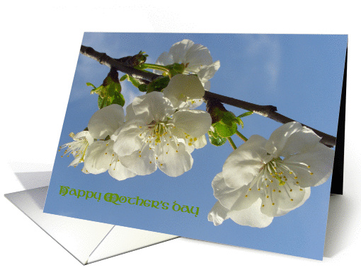Happy Mother's day card (182325)