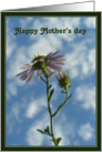 Happy Mother’s day card