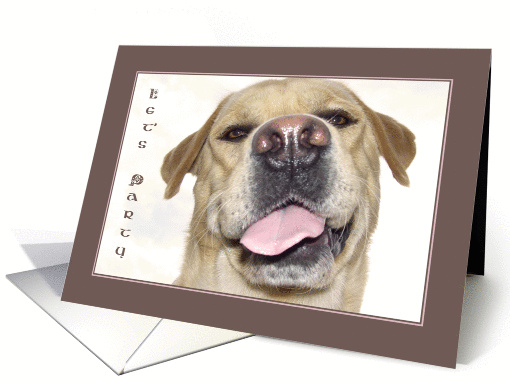 Let's Party card (183618)