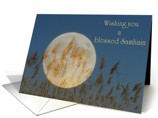 Wishing you a blessed Samhain card (250326)