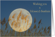 Wishing you a blessed Samhain card