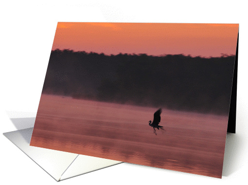 Morning Beauty card (251596)