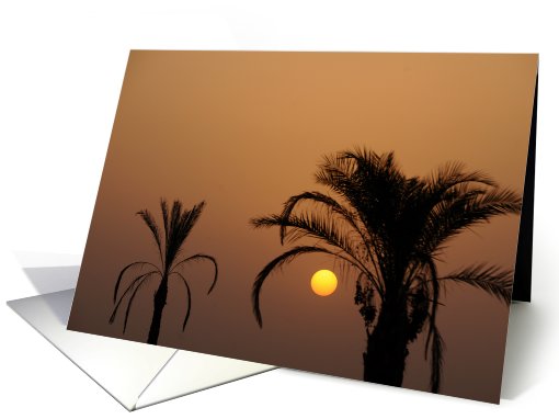 Sunset under palm trees card (512636)