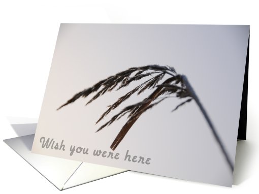 Wish you were here card (512668)