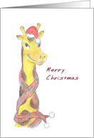 Merry Christmas with Cute Giraffe Blank Inside card