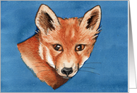 Red Fox card