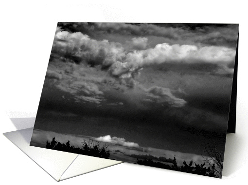Soaring card (304875)
