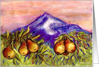Mountain Pear