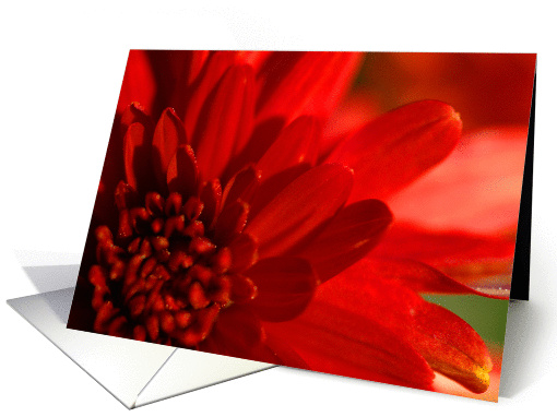 Red! card (161343)