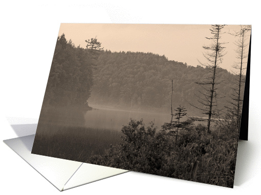 Fog on Pond card (162033)