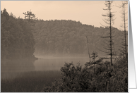 Fog on Pond card