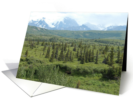 Natural Beauty card (162231)