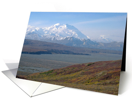 McKinley card (162235)