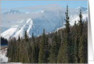 Mountain Beauty card