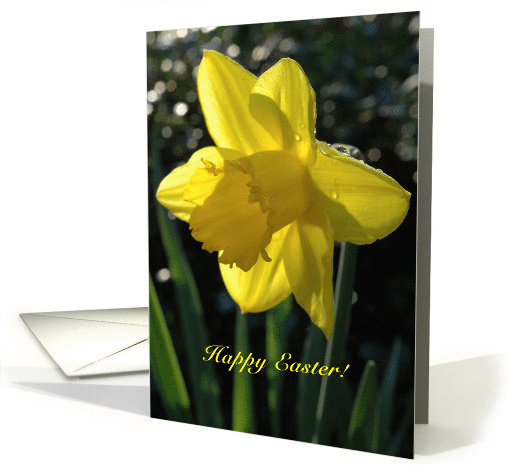 Easter card (162493)