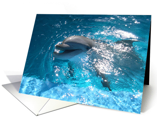 Hello! card (162535)