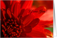Love card
