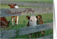 Thinking of you card