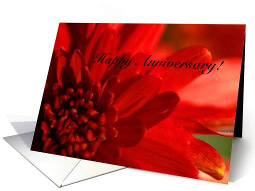 Happy Anniversary card (163035)