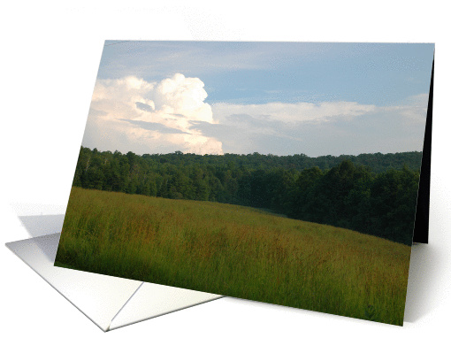 Country View card (163181)
