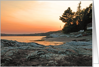 The Cove card