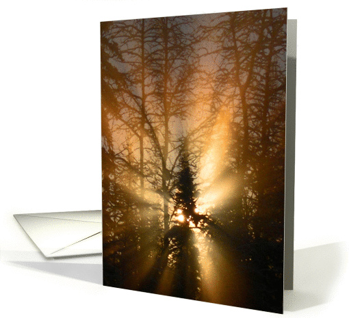 From Above card (164648)