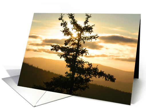Peaceful Sunset card (164656)