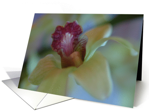 Orchid II card (171321)