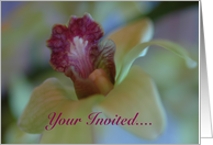 Invited.. card