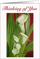 Thinking of you card