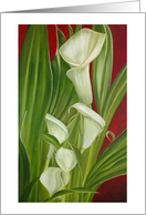 Calla Lily card