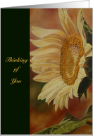 Sunflower card