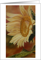 Sunflower card
