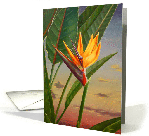 Bird of Paradise card (174268)