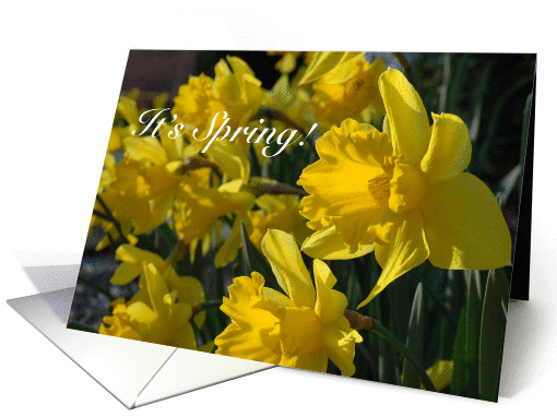 Welcome Spring! card (174362)