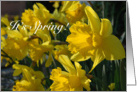 Welcome Spring! card