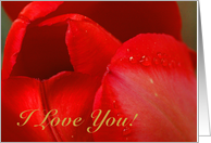 I love you card