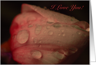 I Love You! card