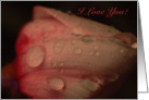 I Love You! card