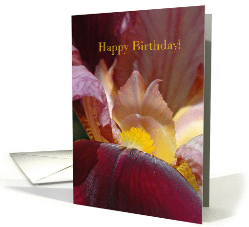 Birthday card (181339)