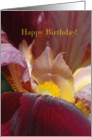Birthday card