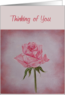 Rose card