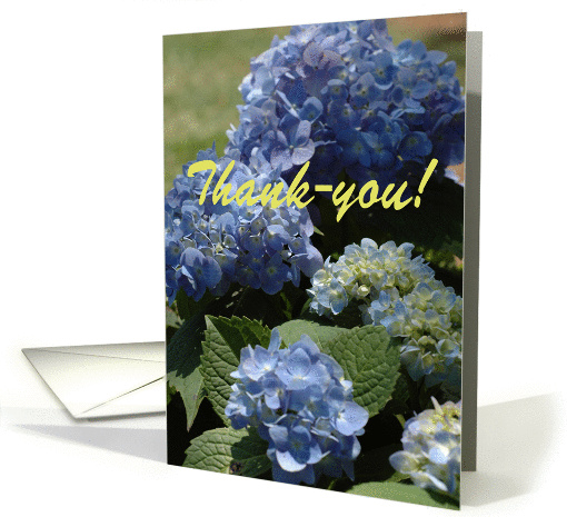 Blue Hydrangea card (202263)